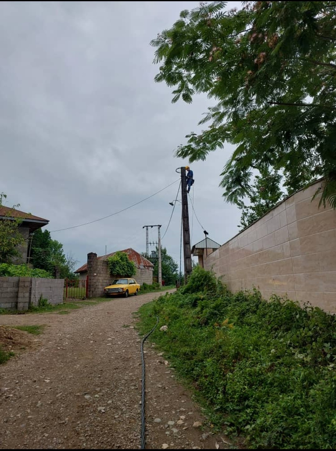  اجرای کابل خودنگهدار در روستای کلفت توسط شرکت نور تابان سیار پیمانکار برق گیلان